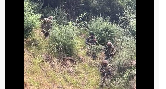'J&K: Terrorist killed by security forces as gunfight rages in Doda'
