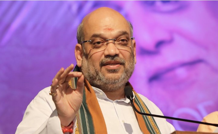 'Abrogation of Article 370 showing result in J&K’S poll percentage: Amit Shah'
