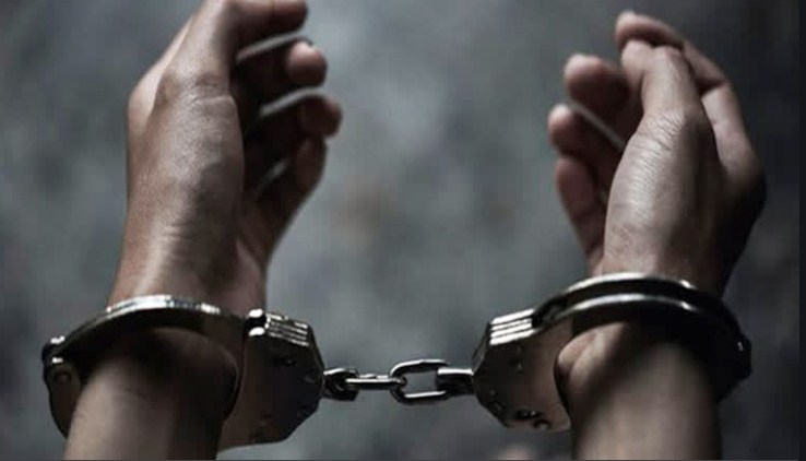 12 Persons Arrested As Police Busts Narco-Militant Module In Baramulla: Officials