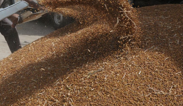 States to get 15 lakh tonne chana at Rs 8/kg discount for welfare schemes