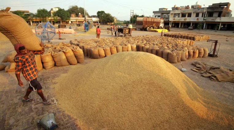 About Rs 2.1 trillion worth paddy, wheat procured from farmers at MSP this season