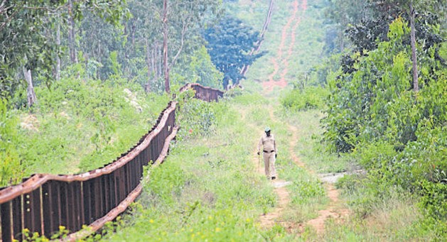 Forest Deptt submits details of 50 largest encroachers along with action taken to HC