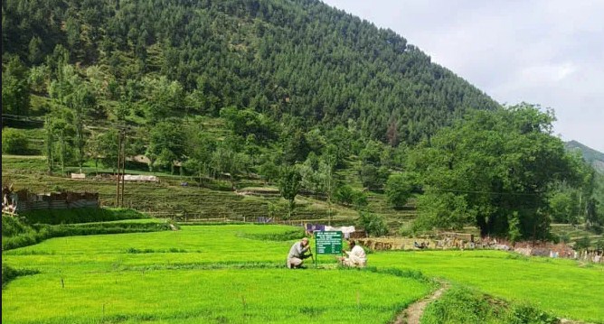No outsider has bought land in J&K, Centre tells parliamentary panel