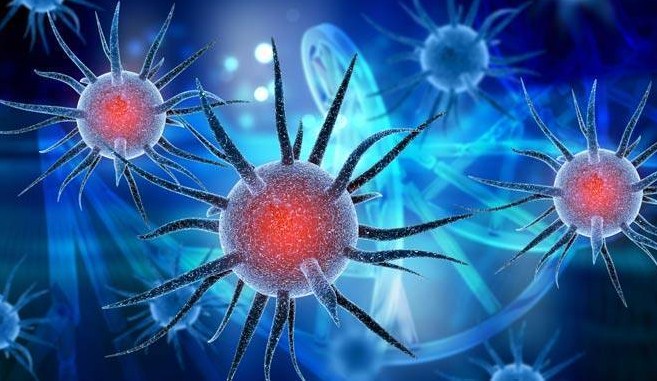 India reports 26,291 new Covid-19 cases, 17,455 recoveries and 118 deaths in the last 24 hours