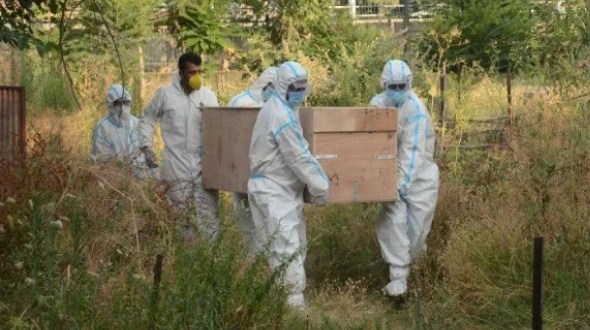 Covid-19 Claims 8 More Lives in Jammu and Kashmir, Toll 1676
