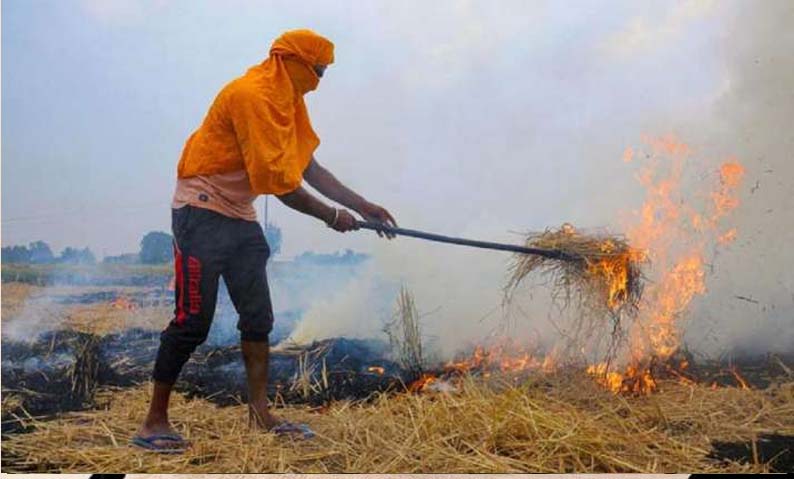 Stubble burning now contributing to 40 per cent in Delhi's air pollution