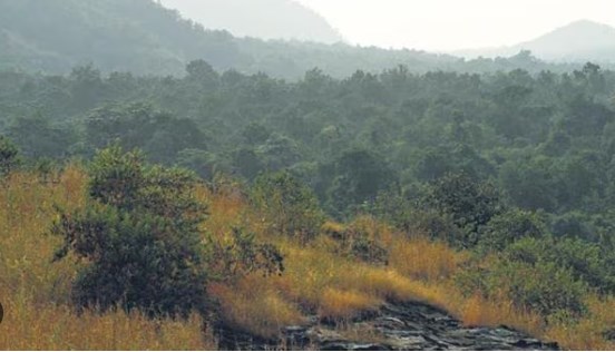 Centre approves Rs 272 crore under compensatory afforestation scheme for J&K