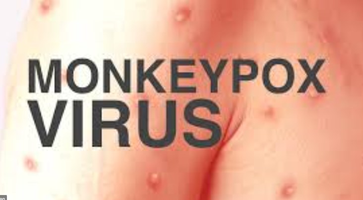 Monkeypox: Centre to hold high-level meeting shortly as India reports 4 cases of virus