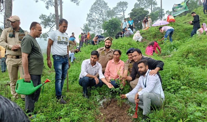 Massive platation drive started at Reasi under Har Gaon Haryali