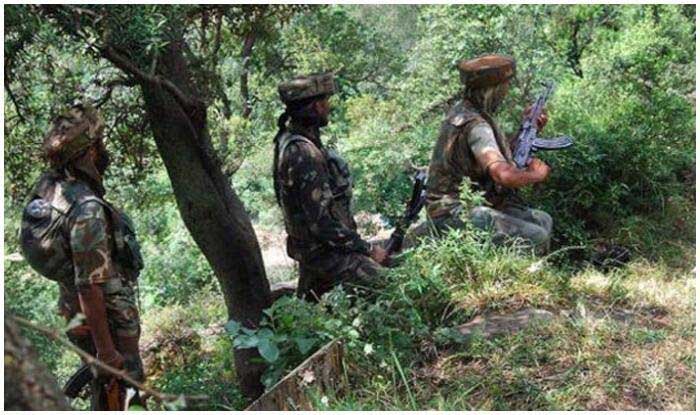    BSF launch search operation to sanitise International Border in J&K