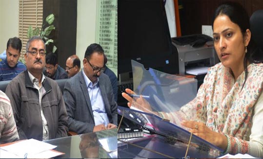 DDC Jammu reviews progress of BADP works
