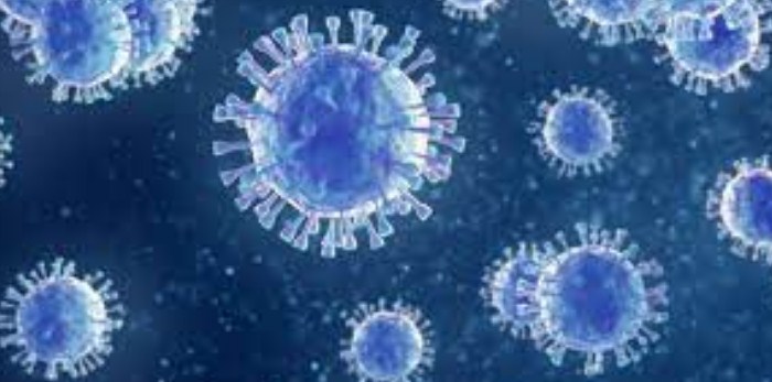 37 minor students tested positive for COVID-19 in a school in Kulgam