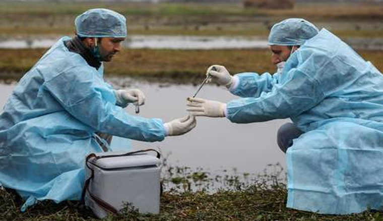 Amid bird flu scare, alert sounded in J&K