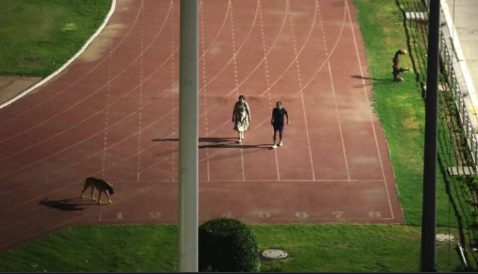 After row over IAS officer taking dog for evening stroll at Delhi stadium, Kejriwal govt jumps to action