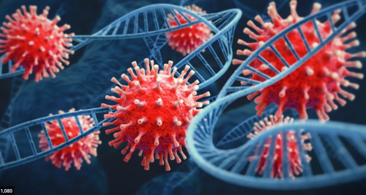 No Covid XE variant in India, Govt sources deny media reports confirming first case