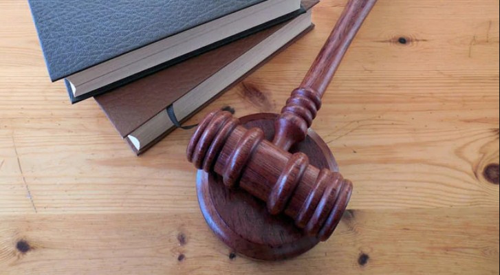 47 Review petitions in Roshni case adjourned to 28th January 2021