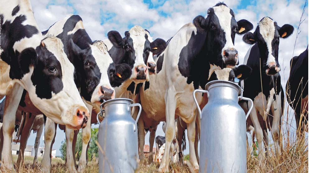 Dairy sector has potential to transform J&K’s rural economy: Navin Choudhary