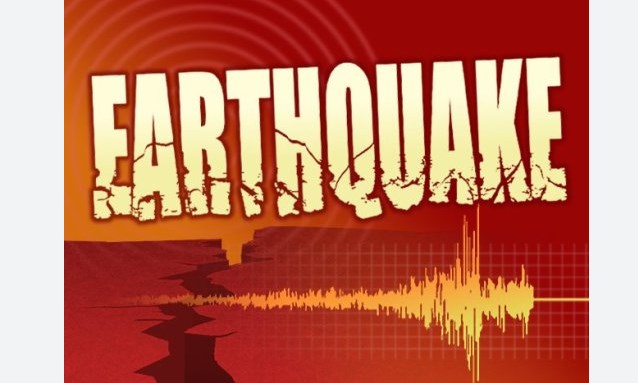 J&K: Security forces search Pulwama village after input on militants' presence