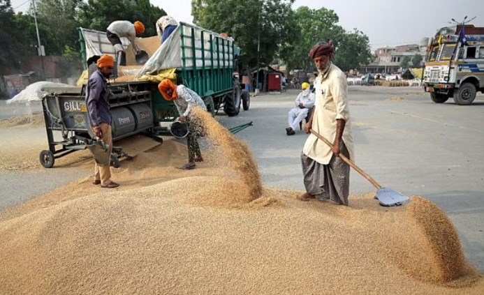 After ban on wheat, India restricts exports of flour, other derivatives