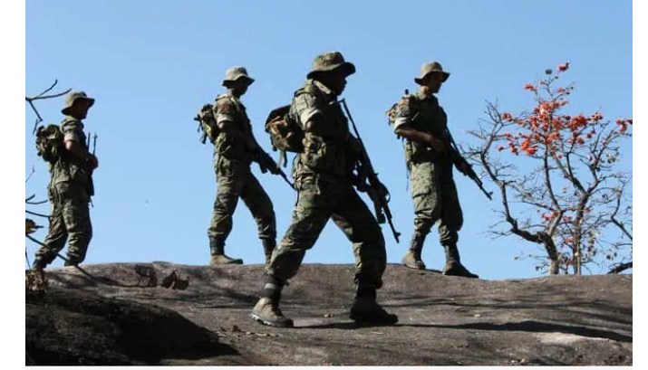 Eliminated 215 Terrorists In Jammu And Kashmir In 2020, Says CRPF