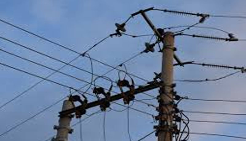 Man electrocuted, two buffaloes killed due to rains in Jammu and Kashmir’s Rajouri
