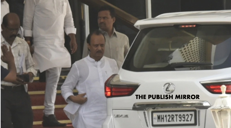 9 irrigation scam cases closed in Maharashtra; not linked to Ajit Pawar, says BJP