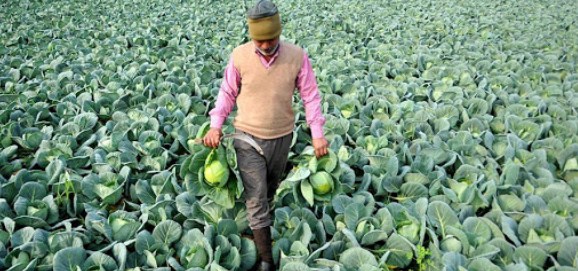 Doubling Farmers, Income  Focus on transforming ideas into action to achieve the goal: Dr Mehta to officers