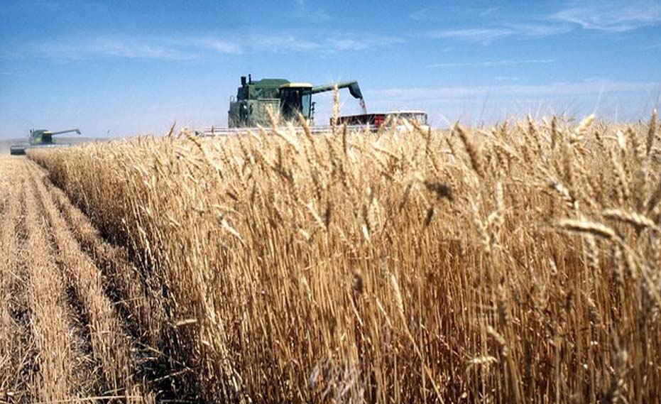 COVID-19: Farming operations will only be allowed after following safety precautions: Advisor Baseer Khan