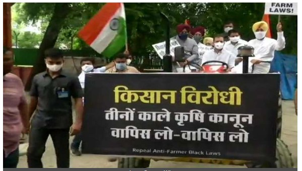 Rahul Gandhi drives tractor to Parliament in support of farmers protesting against farm laws