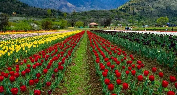 Public parks, gardens in Srinagar to remain closed: DC Srinagar