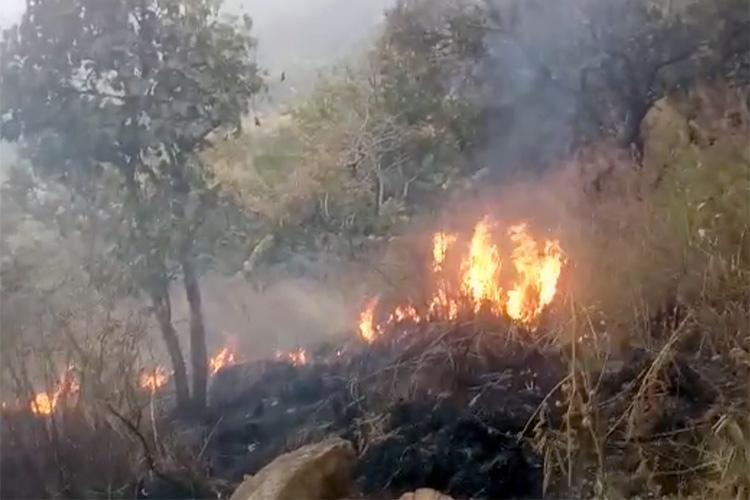 Fire along LoC triggers several landmine explosions in Poonch Sector