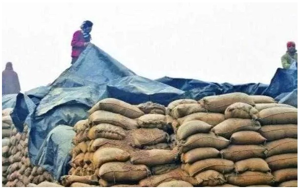 COVID-19: 161 more people test positive in J&K, toll surpasses 4500-mark