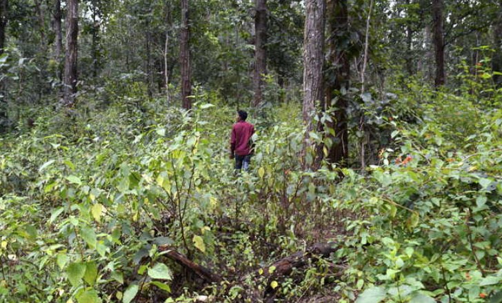 Forest Rights Act being Implemented in J&K