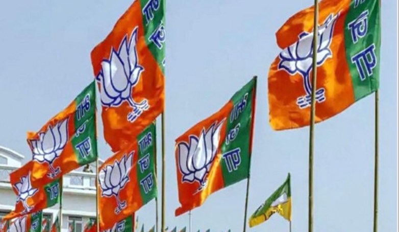 MCD poll results: BJP leads over AAP in initial trends