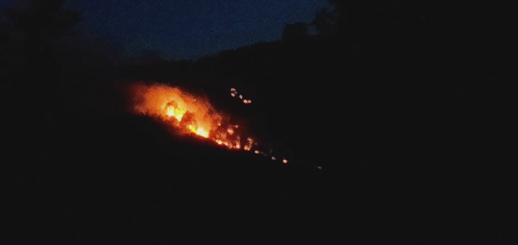 Massive fire breaks out in Mendhar forests 