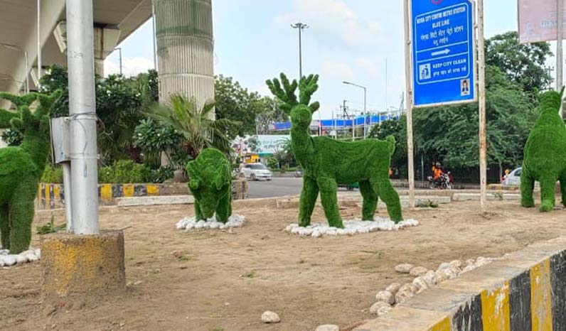 Swachh Survekshan Results 2020: Indore retains cleanest city tag for fourth year in a row