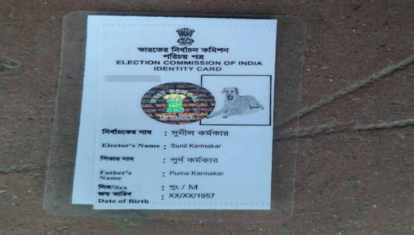 Murshidabad man issued voter ID card with dog's picture   