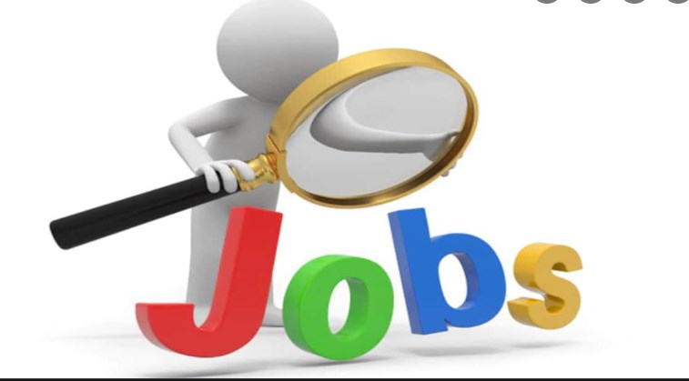 India's job market outlook strong for October-December; 54 per cent companies plan to hire