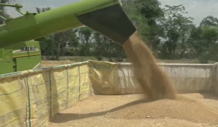 JK Agriculture department starts procurement of Crops in Jammu