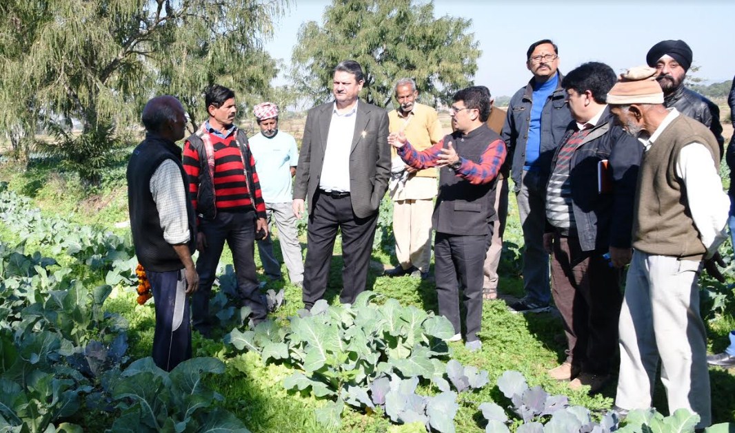 Director Agriculture, Jammu conducts Intensive tour of Samba and Kathua  Districts