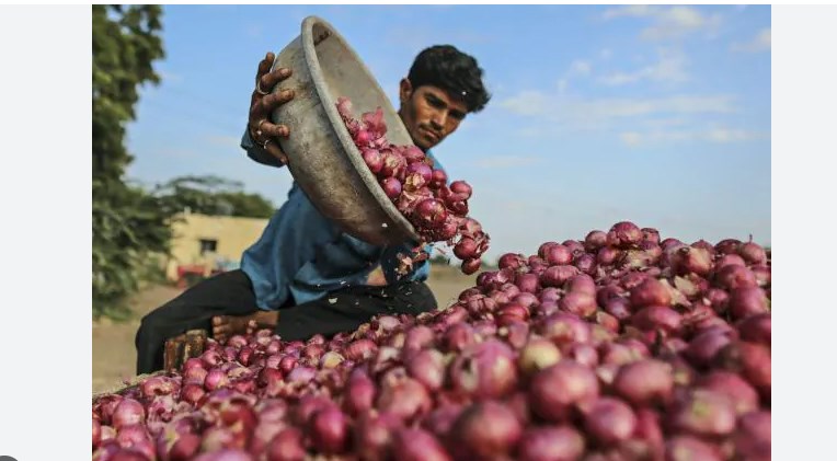 Centre offers imported onions to states at Rs 49-58 per kg