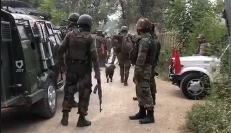 J&K: Two newly recruited terrorists, 4 terrorist associates held in Anantnag
