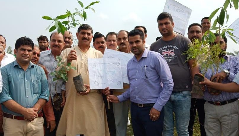 Jugal Kishore held plantation drive at Nagrota