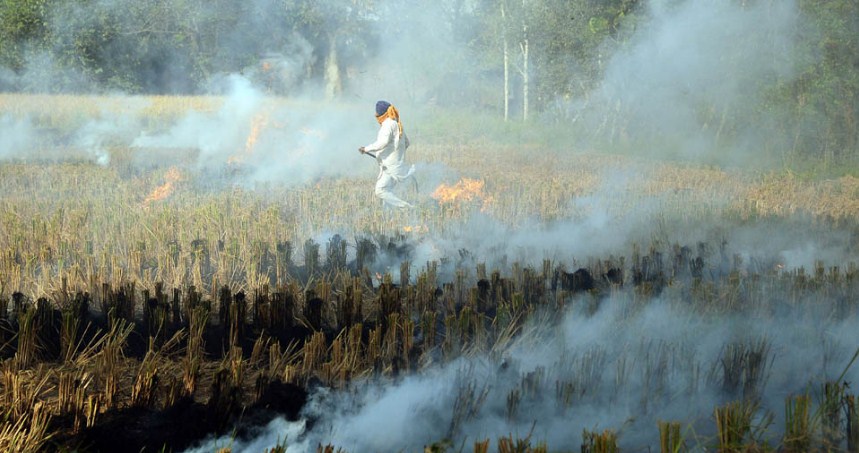 As Delhi battles air pollution, SC slams Punjab govt for failing to tackle stubble burning