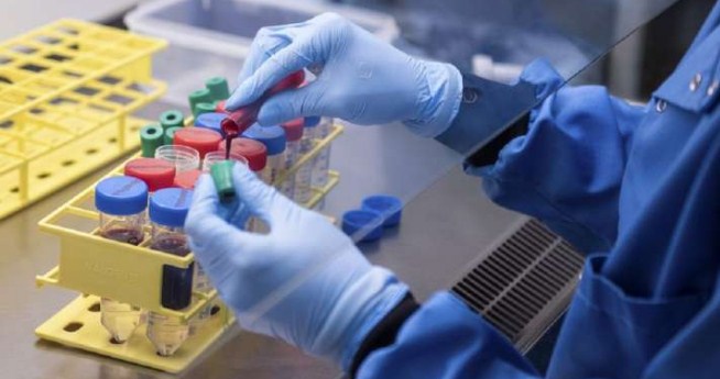 Pfizer, Oxford vaccines reduce severe COVID-19 in elderly: Study