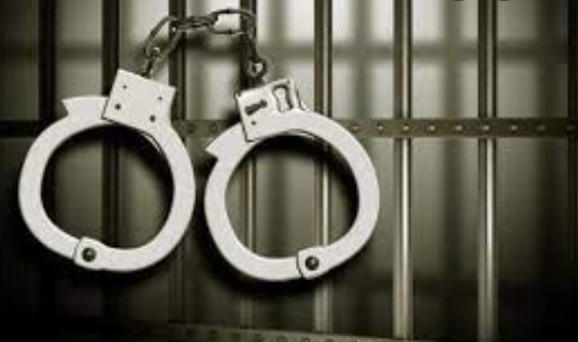 Two more villages declared red zones in Bandipora to prevent spread of COVID-19; strict restrictions imposed: District Magistrate