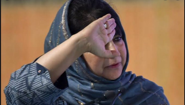 J&K: Former PDP MLC Javed Mirchal Resigns In Protest Against Expulsions Of Eight Party Leaders