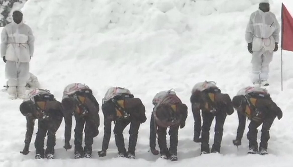 Indian Army gets training to battle extreme winter condition in Gulmarg