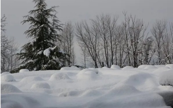 Indian Army havildar accidentally enters PoK after slipping in snow in Gulmarg, Jammu and Kashmir
