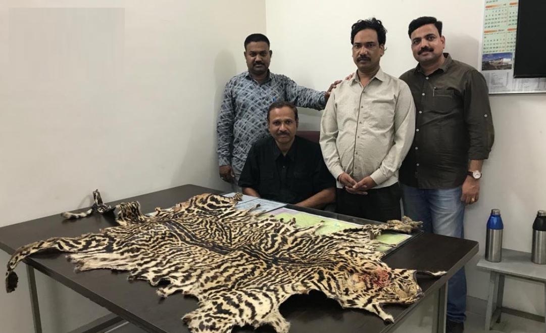 MP: STF arrests man for smuggling leopard skin in international market